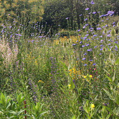sommergarten