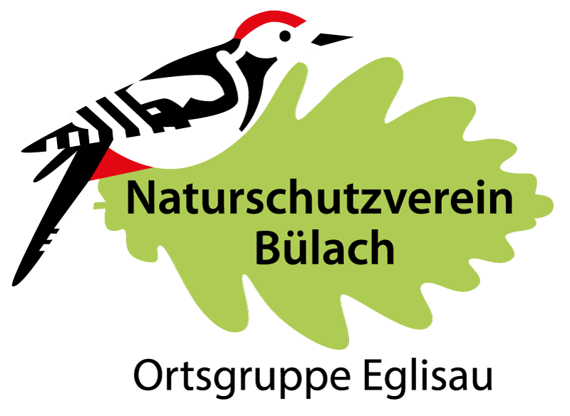 NVB Ortsgruppe Eglisau