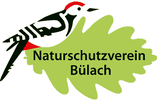 nvb-logo