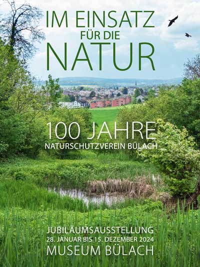 NVB-100Jahre-Plakat